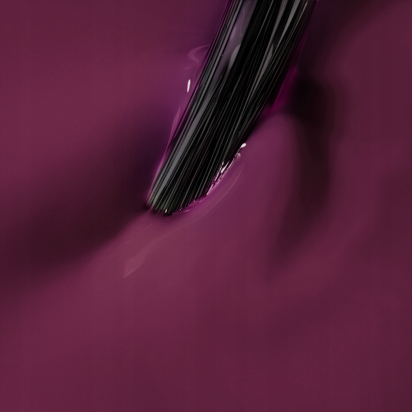 4223f92046ff445bd09e9145d0791676