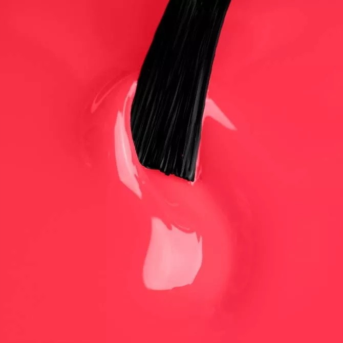 cff3a4b31715dff387cff94d0b992417